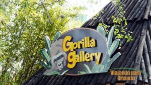 Gorilla Gallery