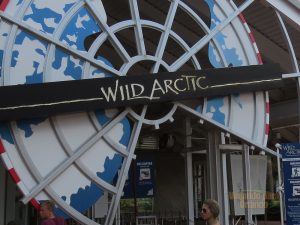 Wild Arctic