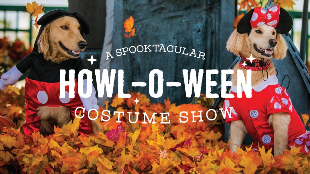 A Spooktacular Howl-O-Ween Costume Show